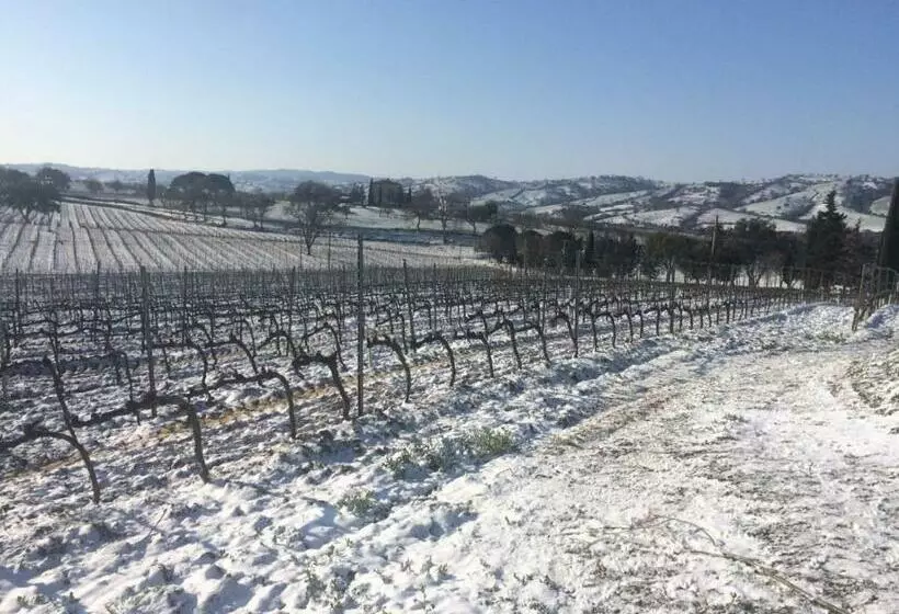 ホテル Agriturismo Diaccialone