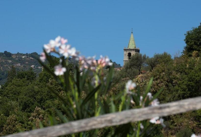 호텔 Agriturismo Il Sole