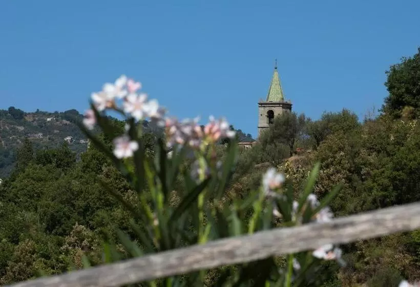 ホテル Agriturismo Il Sole