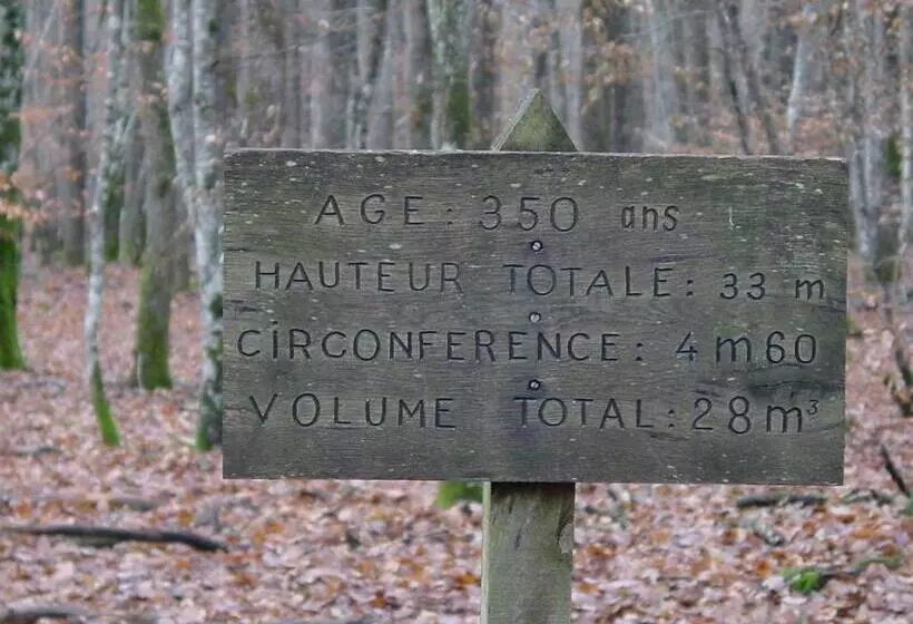 ホテル Auberge Magnette