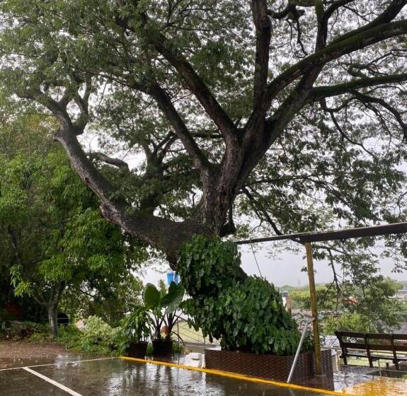 ホテル Chicala Salgar