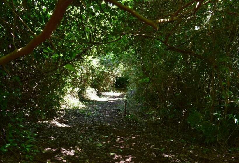 בית מלון כפרי El Monte De Los Abuelos