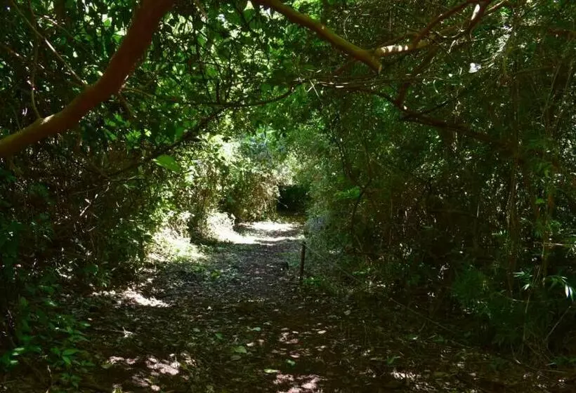 Hotelli El Monte De Los Abuelos