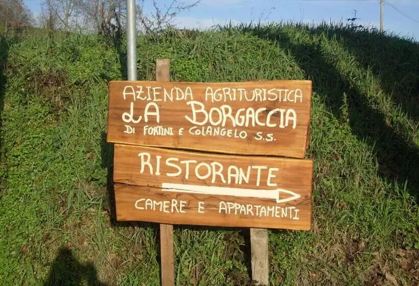 ホテル Farm Stay Agriturismo La Borgaccia