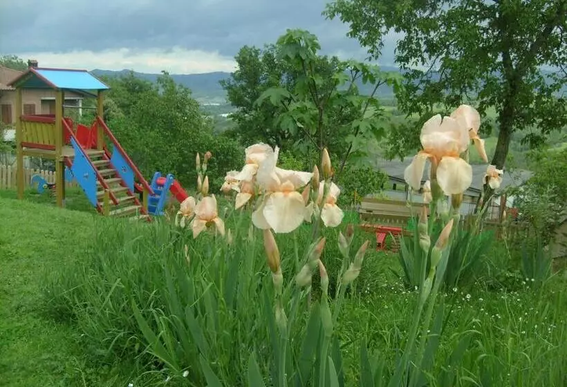 ホテル Farm Stay Agriturismo La Borgaccia