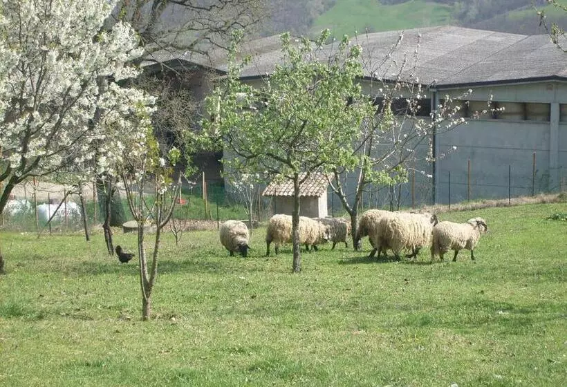 ホテル Farm Stay Agriturismo La Borgaccia