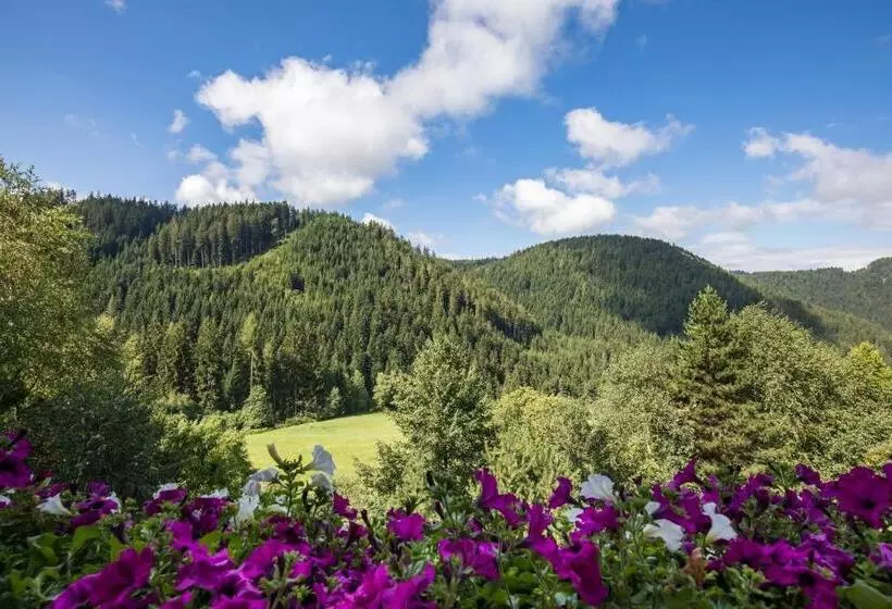 Hotelli Gasthof Gasserhof