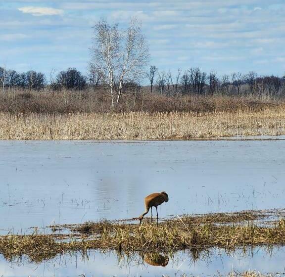 מוטל Grantsburg Inn