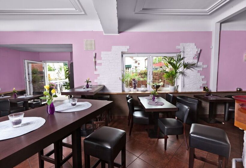 Пансион Alte Station