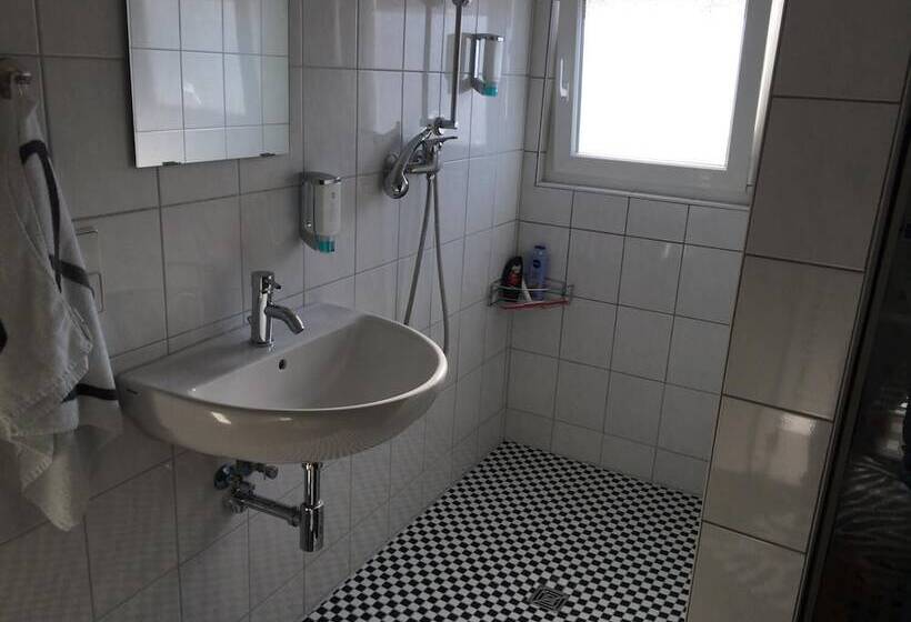 Пансион Alte Station