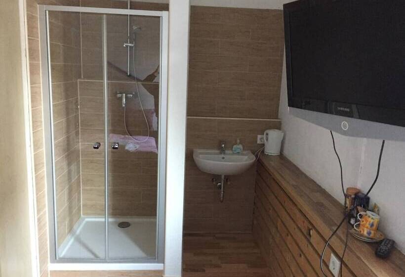 Пансион Alte Station