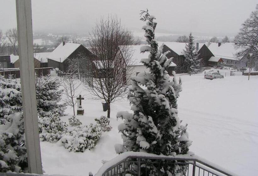 Пансион Domizil