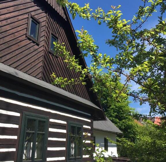 膳宿费 Penzion Betlém