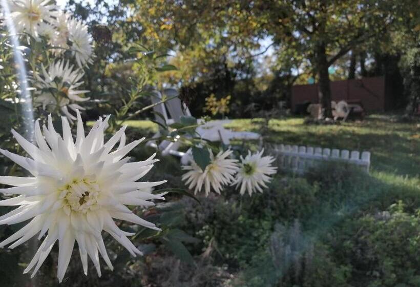 펜션 Rendeki Vendégház, önálló Ház