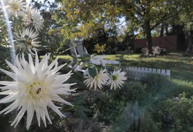 ペンション Rendeki Vendégház, önálló Ház