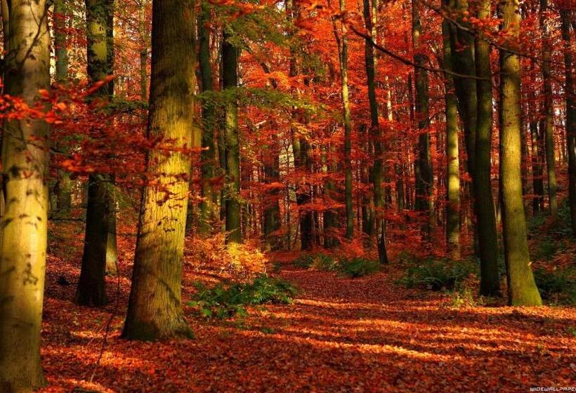 펜션 Rendeki Vendégház, önálló Ház