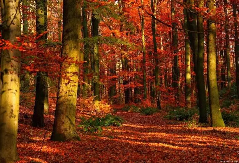 ペンション Rendeki Vendégház, önálló Ház