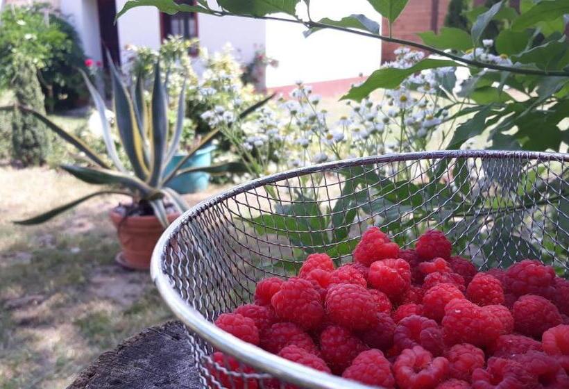 펜션 Rendeki Vendégház, önálló Ház