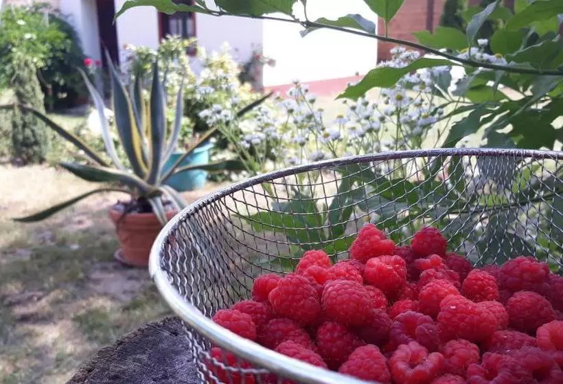 ペンション Rendeki Vendégház, önálló Ház