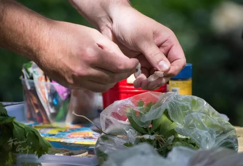 ペンション Rendeki Vendégház, önálló Ház