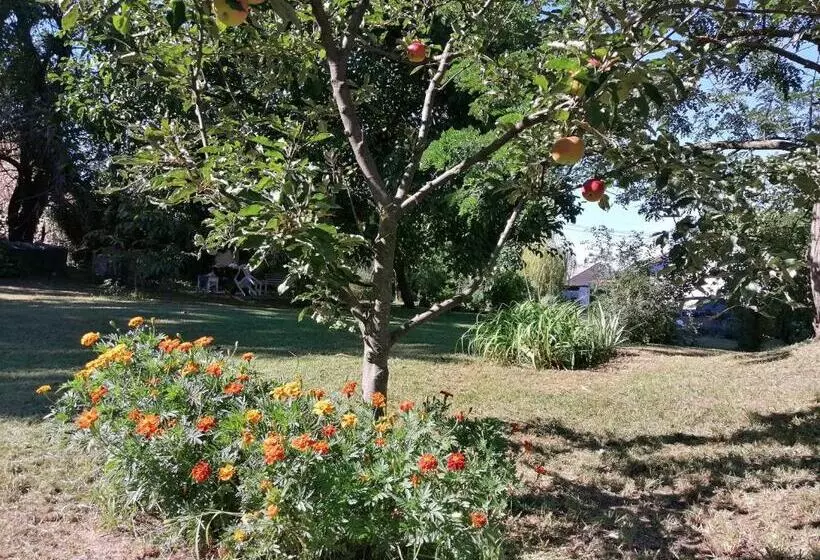 ペンション Rendeki Vendégház, önálló Ház