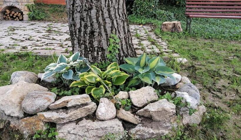 펜션 Rendeki Vendégház, önálló Ház