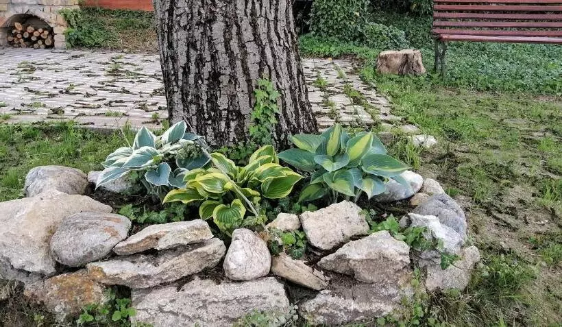 ペンション Rendeki Vendégház, önálló Ház