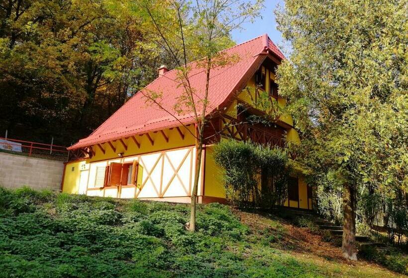 פנסיון Tavas Vendégház