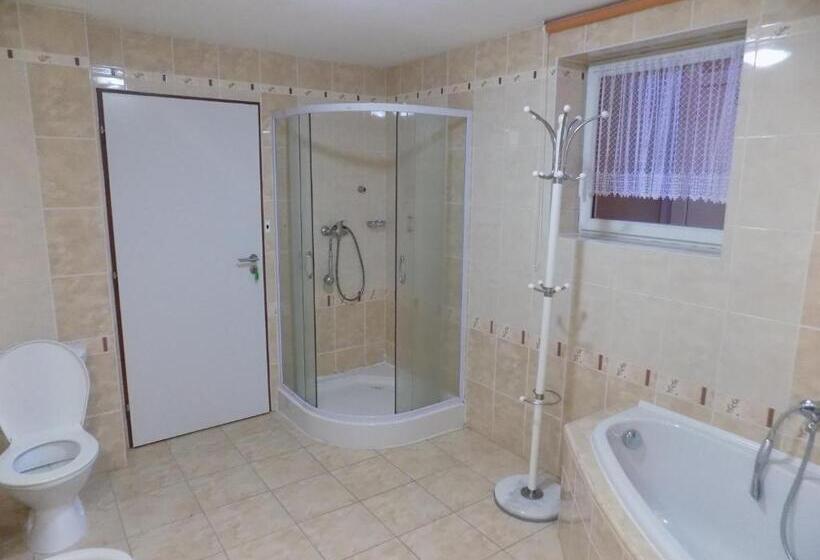 بنسيون Ubytování Apartmány Ferenčíková