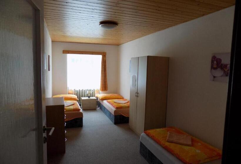 بنسيون Ubytování Apartmány Ferenčíková