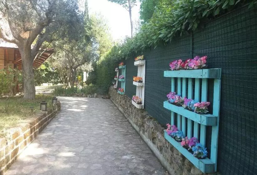 B&b Land & Sea