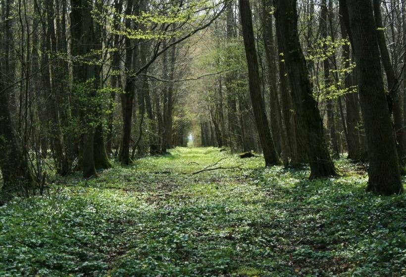 צימר Château De Denonville