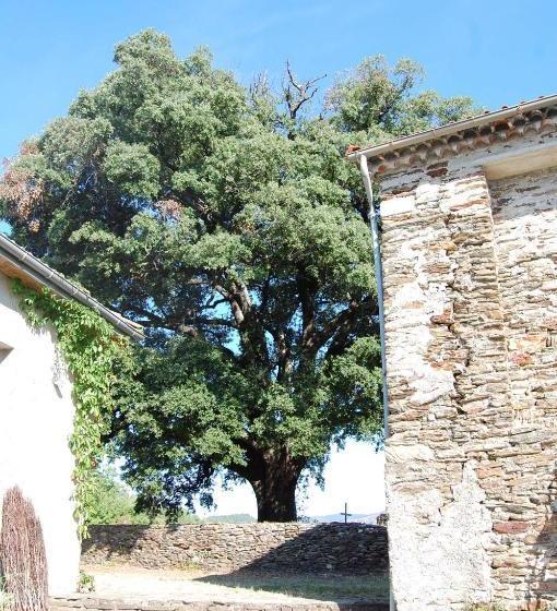 مبيت وإفطار La Vallée De Gaïa