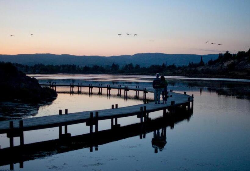 مبيت وإفطار Le Flamant Rouge Guesthouse