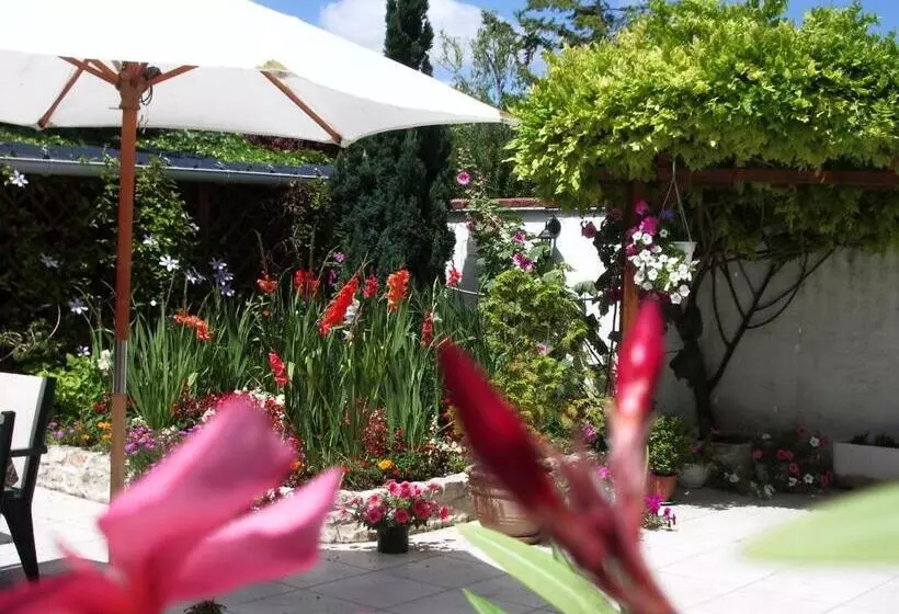 Aamiaismajoitus (B&B) Les Glycines