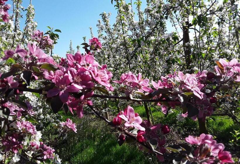 住宿加早餐 Von May Rooms