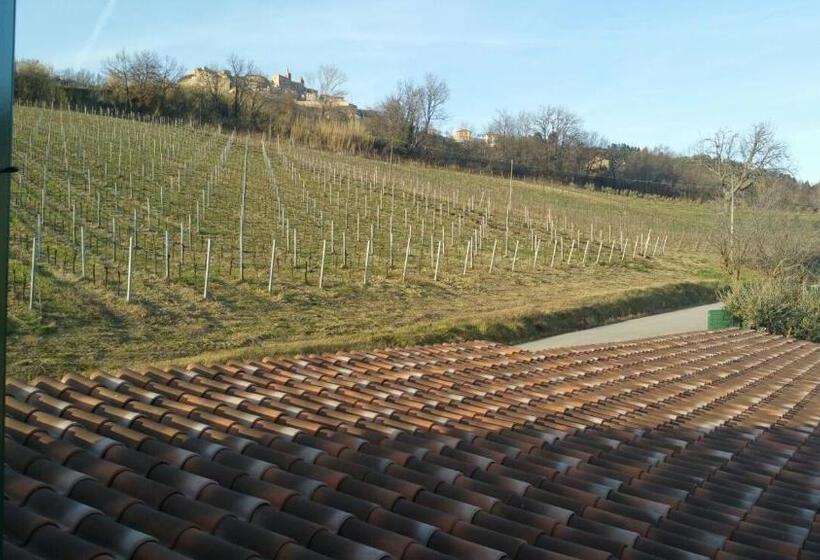 בית מלון כפרי Le Vigne Di Clementina Fabi