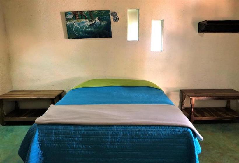 ホテル Mangrove King Fishing Lodge