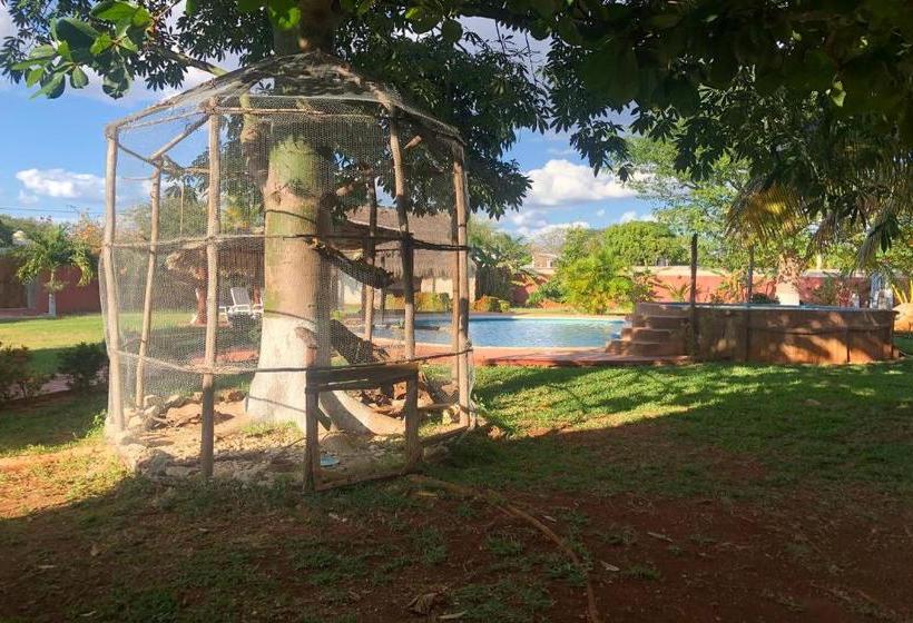 ホテル Mangrove King Fishing Lodge