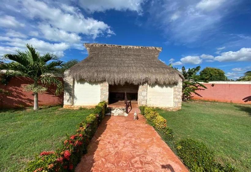 ホテル Mangrove King Fishing Lodge