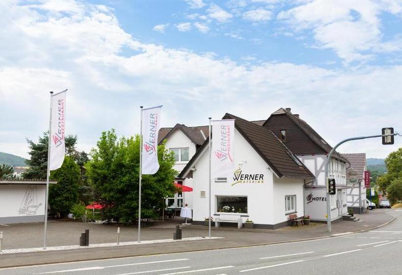 Отель Werner
