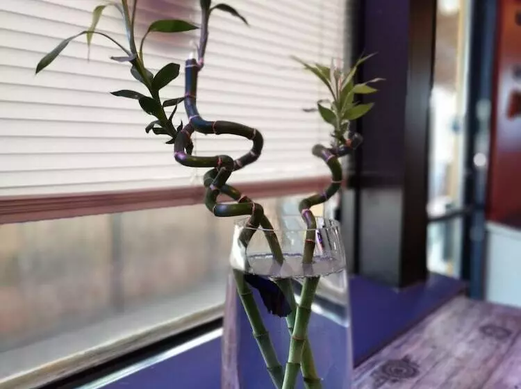 Motelli Manitou Motor Inn