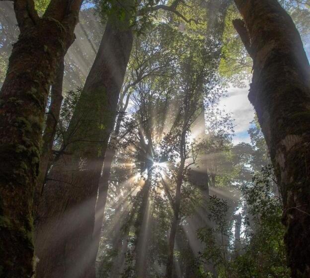 بنسيون Apart Hotel Micasa