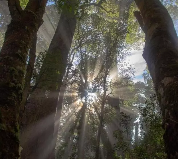 Majatalo Apart Hotel Micasa