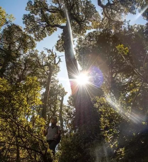 Majatalo Apart Hotel Micasa