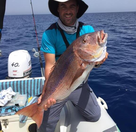 ペンション Elimo Affittacamere   Casa Vacanze Di Scardino Leonardo