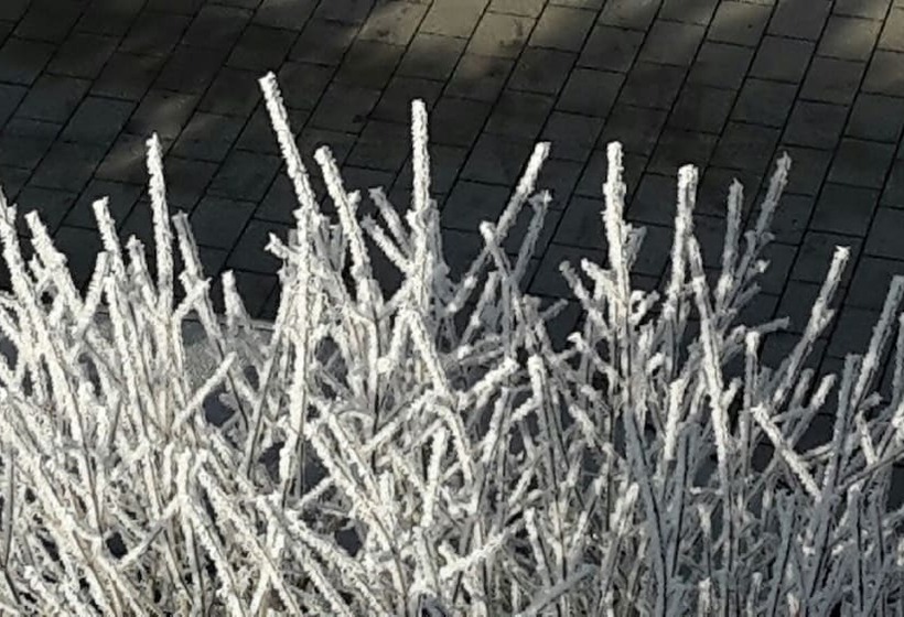 Pensão Gäste Haus Rösch