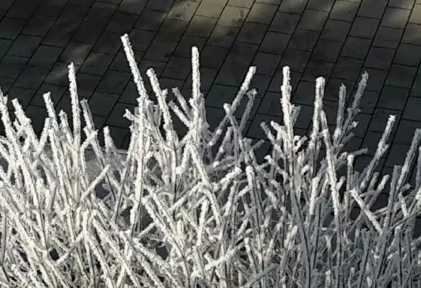 Majatalo Gäste Haus Rösch