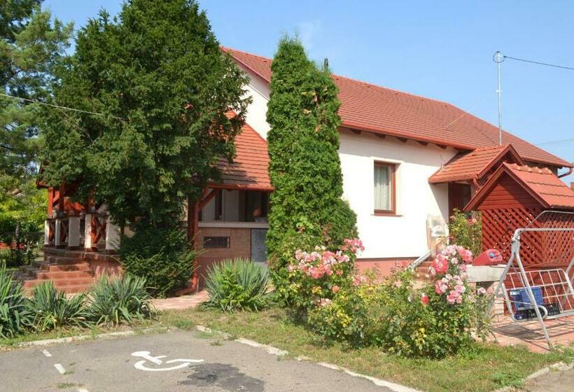 Pensjonat Módos Falusi Szálláshely