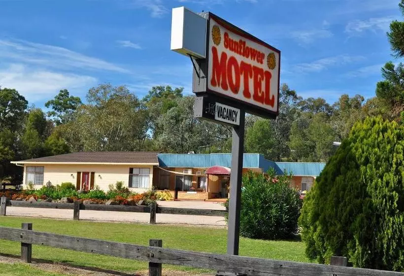 Sunflower Motel
